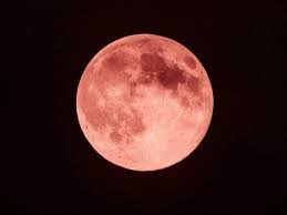 bhopal,Strawberry Moon ,brightness of Venus