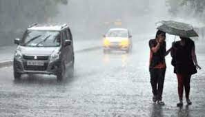 bhopal, MP, Heavy rain warning 