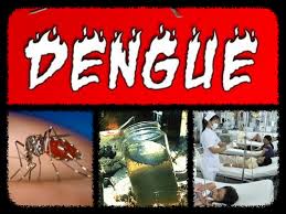 प्लॉटों पर भरा पानी बढ़े डेंगू मच्छर