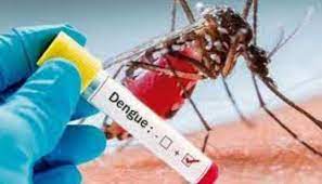bhopal, Dengue havoc continues , Madhya Pradesh