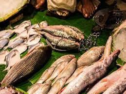 bhopal,Ban , meat and fish 
