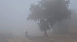 bhopal, Dense fog, 30 districts