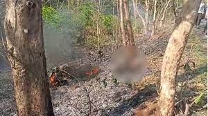 jabalpur, Bike collides, burnt alive