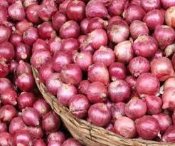 bhopal, District administration, onion sales centers