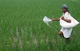 bhopal,Farmers upset,r urea, Madhya Pradesh