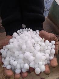 gwalior,  farmers face,storm-ravaged hail , withers from the sky