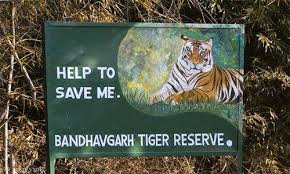 bhopal,  Corona virus ,rescue information,  Bandhavgarh Tiger Reserve