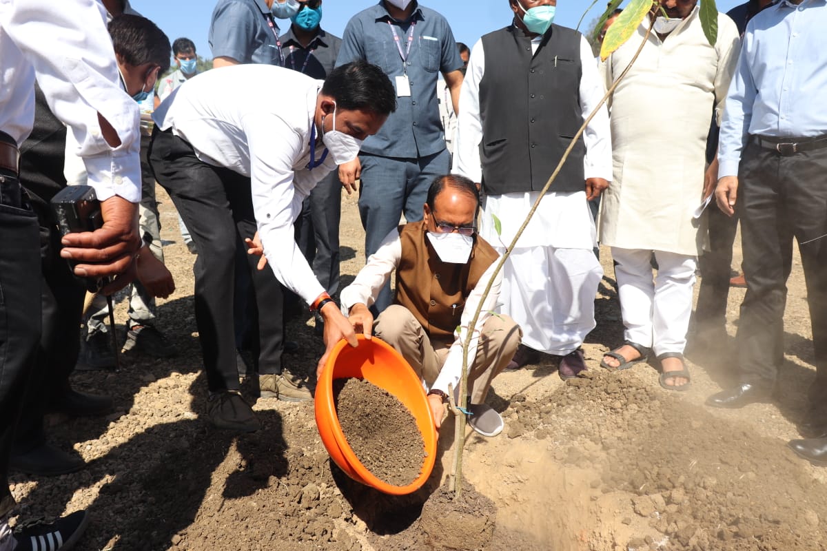 bhopal, CM Shivraj ,planting sapling, appeals  public,plant a tree 