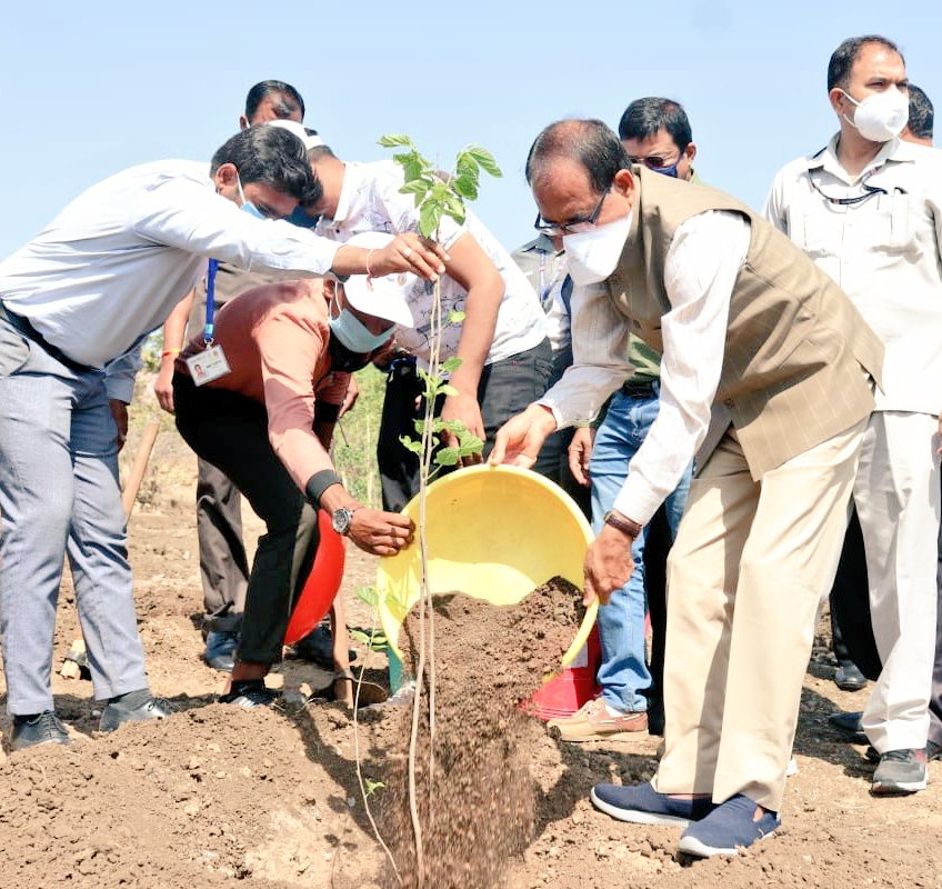 bhopal, Chief Minister ,Shivraj Singh Chauhan, planted a family tree