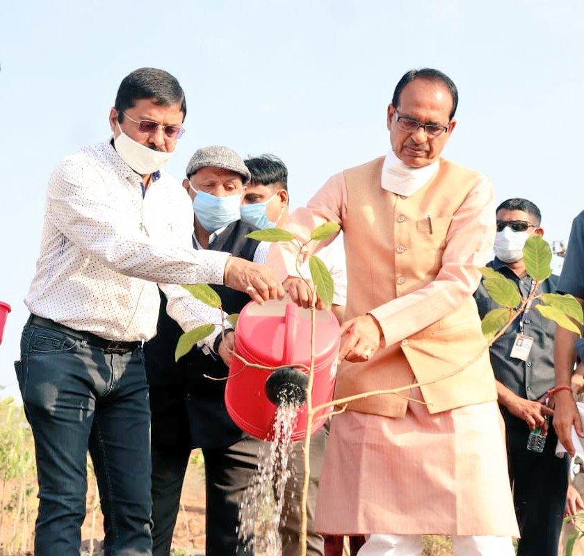 bhopal, CM Shivraj ,planted sapling, appealed public 