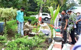 bhopal, Chief Minister, planted sapling, planted multi-purpose,neem plant