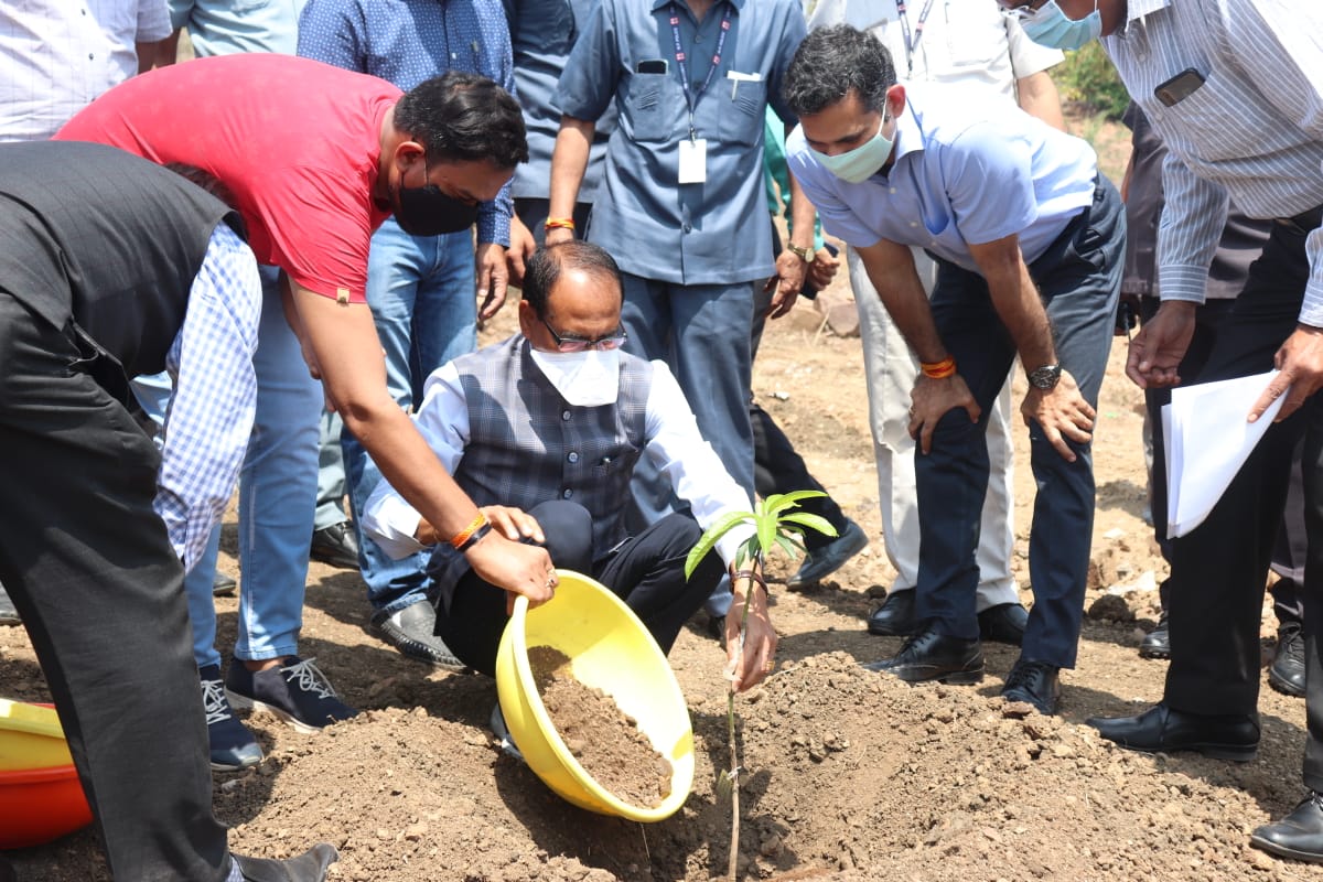 bhopal, CM Shivraj plantation, planted mango plant, Smart Park