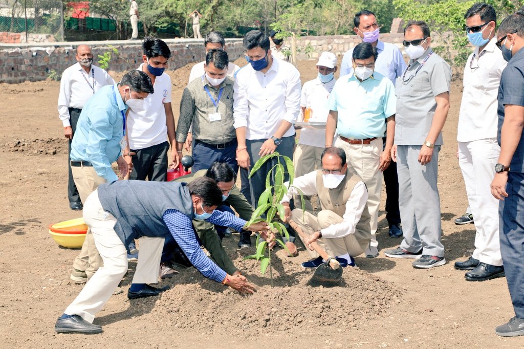 bhopal, CM Shivraj, planting saplings in smart, appeals , plant saplings on Holi
