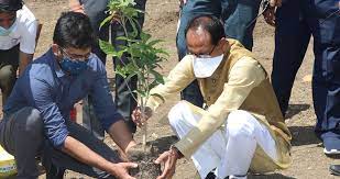 bhopal, Chief Minister Shivraj ,planted moonlight plant , Smart Park
