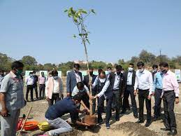 bhopal,CM Shivraj ,planted Peepal plant ,Smart Park