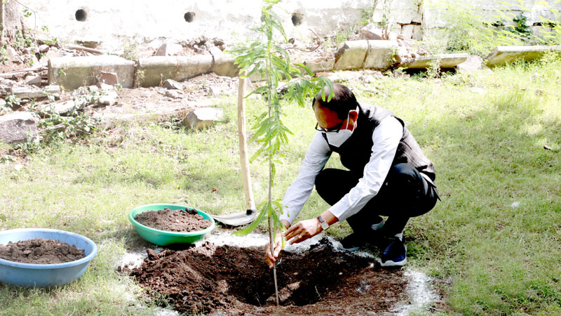 bhopal,Chief Minister, Shivraj Singh ,planted sapling plant , residence premises