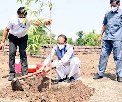 bhopal, Chief Minister, Shivraj Singh Chouhan planted ,Ashoka sapling in Smart Park