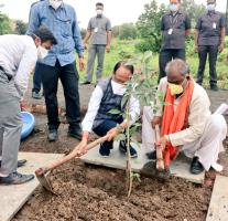 bhopal, CM Shivraj planted ,Arjuna plant, Smart Park