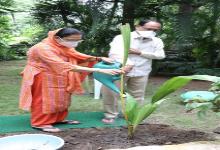 bhopal, CM Shivraj planted, coconut plant , residence