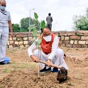 bhopal, Chief Minister, planted Peepal plant , Smart City Park