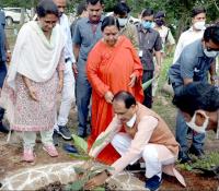 bhopal, Chief Minister , former Chief Minister, Uma Bharti ,planted saplings