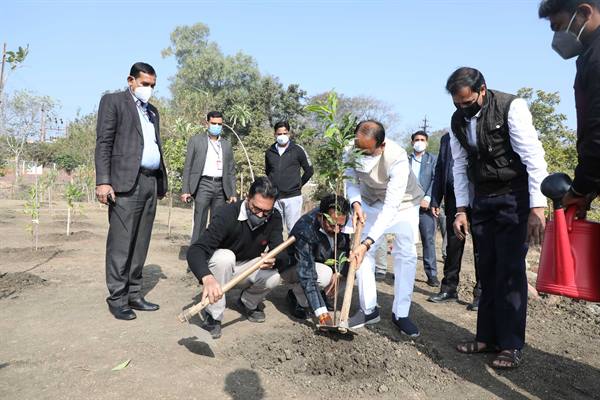 bhopal,  Chief Minister, planted a tree , matchbox Sunil Bhatt