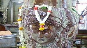 mandsour, Worship of Shiva ,devotees started , Mahashivratri