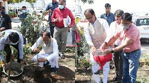 bhopal, CM Shivraj ,planted cassia plant