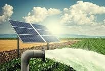 सौर ऊर्जा के क्षेत्र में केंद्र और राज्य शासन द्वारा प्राथमिकता से किया जा रहा कार्य