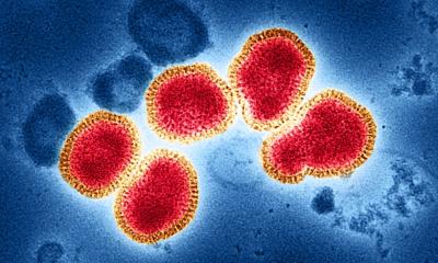 H3N2  नया वायरस