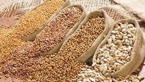 surat, International Millets Year-2023,coarse grains