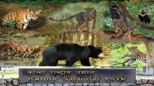 bhopal, International Wildlife Conference, Kanha National Park