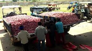 shivpuri,First tomato ,onion tears 