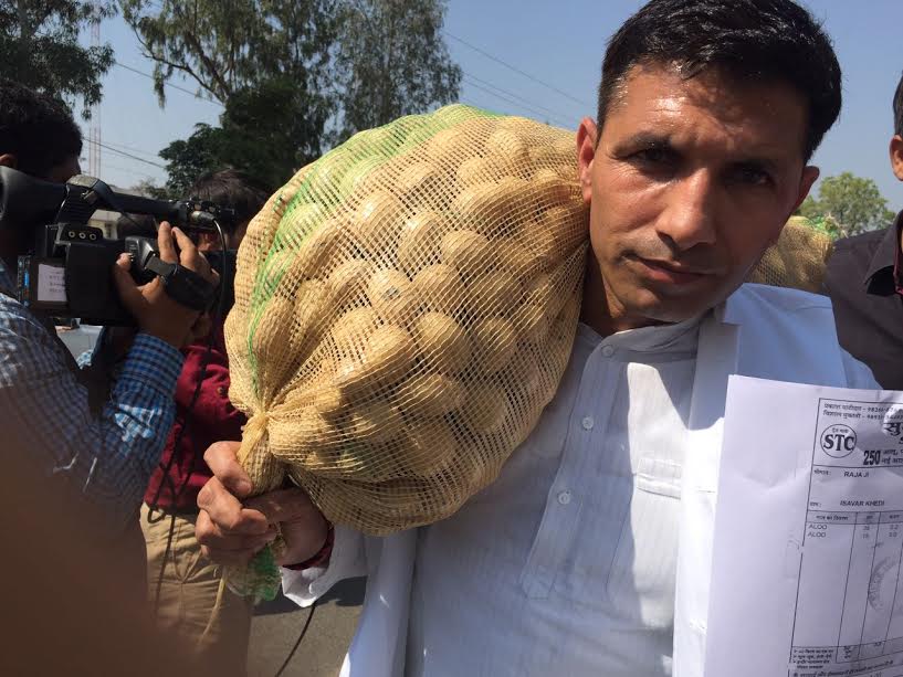 mla aloo