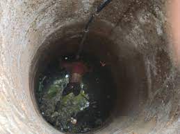 rajgarh, Dead body , found in a well