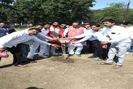 bhopal, Chief Minister Chauhan ,planted saplings
