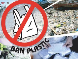 प्लास्टिक कैरी बैग पर प्रतिबंध 
