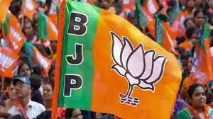 bhopal, BJP divided MP,seven clusters, appointed in-charges