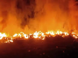rajgarh,  massive fire, broke out 
