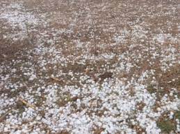 bhopal, Hail forecast , Jabalpur-Shahdol