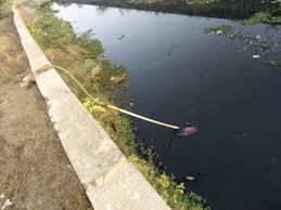 bhopal gandgi