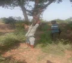 narmadapuram, Young man tied , goat theft