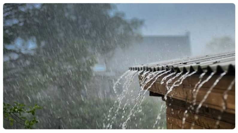 bhopal, Monsoon, Madhya Pradesh 