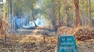 umaria,  massive fire ,Bandhavgarh Tiger Reserve