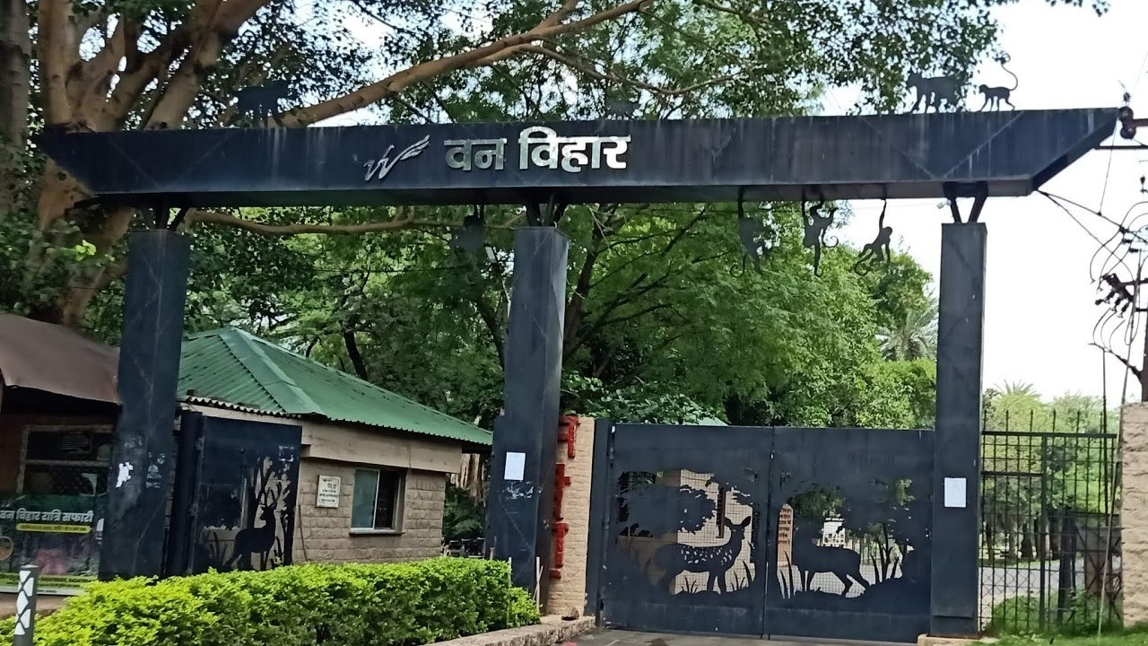 bhopal, Vegetarian wildlife safari, National Park Van Vihar 
