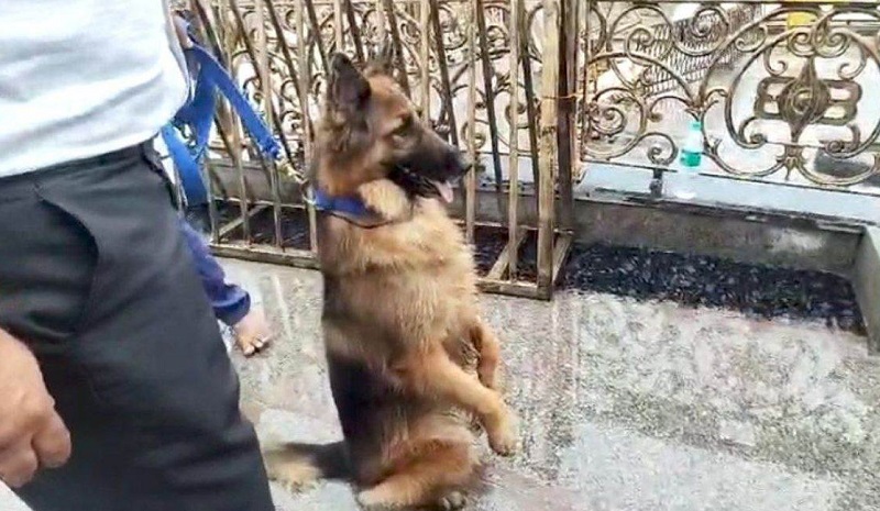 bhopal, Police dog 