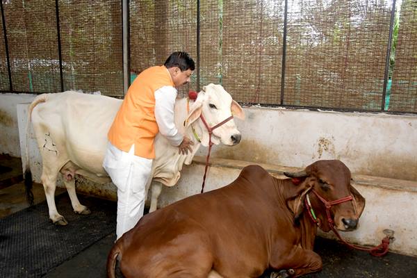 bhopal, Chief Ministe, Janmashtami