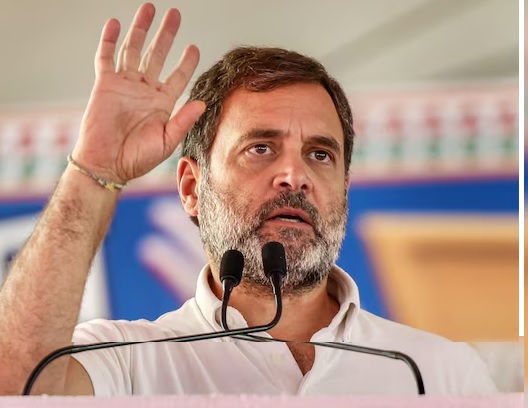 new delhi,  reservation, Rahul Gandhi