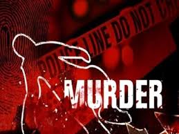 seoni, Woman killed , hitting stone 