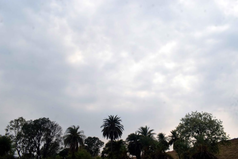 bhopal, Rain alert,  Madhya Pradesh  